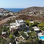 Blue Vista Patmos Villa Skala