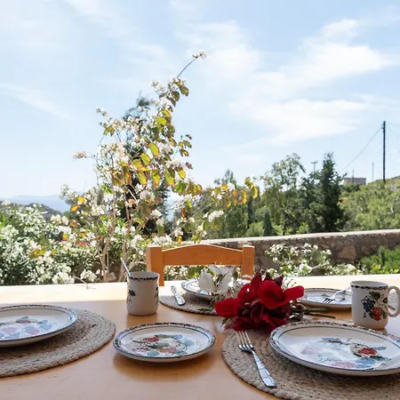 Blue Vista Patmos Βίλα Σκάλα